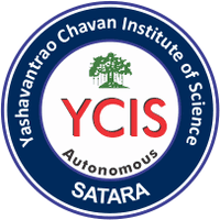 YCIS Satara Logo